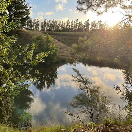 A Cabin With A Big View, Comfort And Tranquility, Close To Vines Martinborough Bagian luar foto