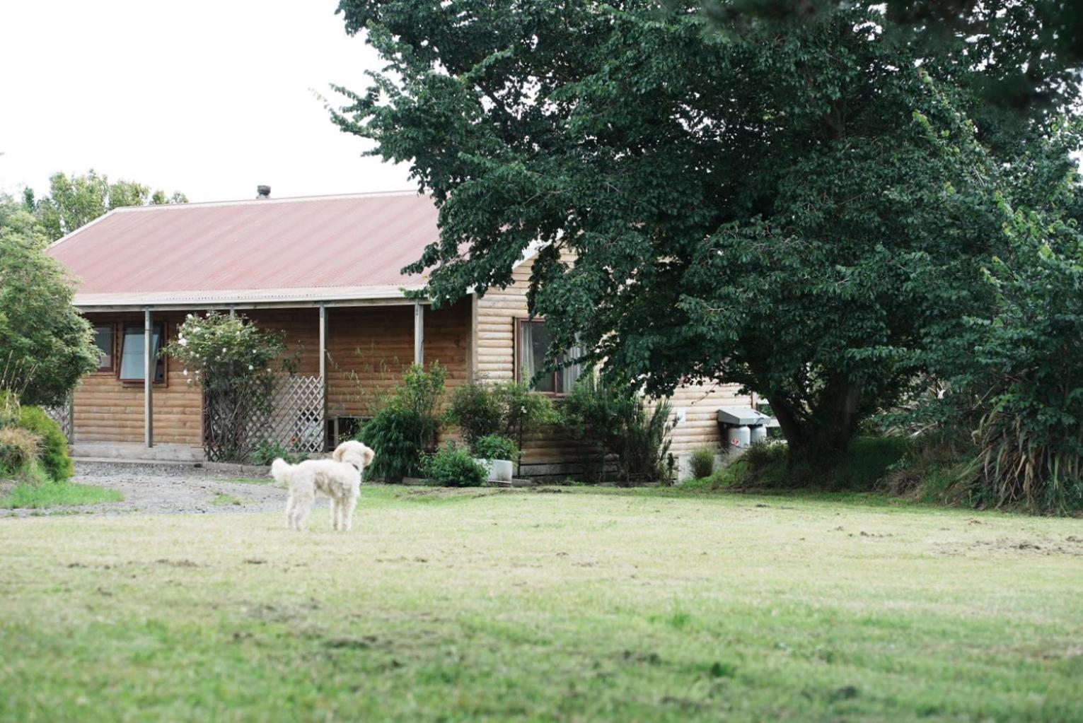A Cabin With A Big View, Comfort And Tranquility, Close To Vines Martinborough Bagian luar foto