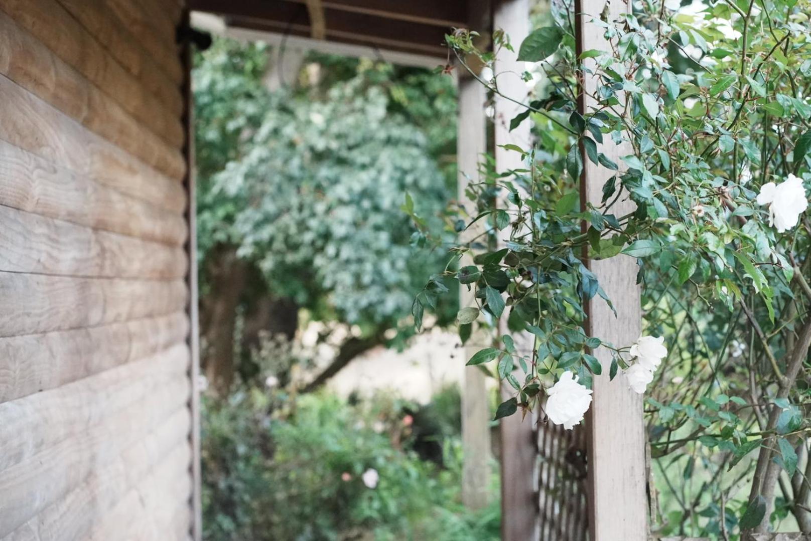 A Cabin With A Big View, Comfort And Tranquility, Close To Vines Martinborough Bagian luar foto