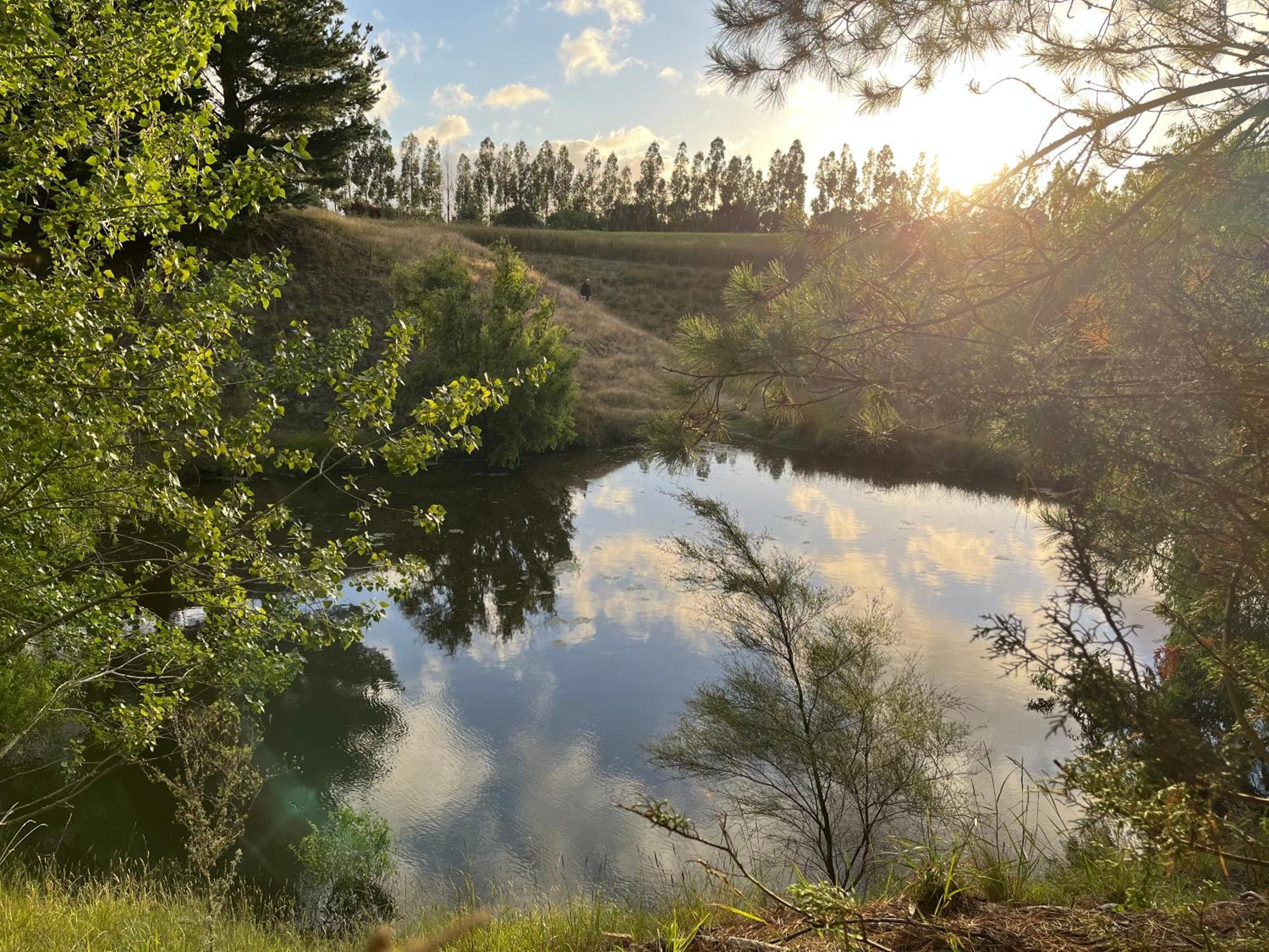 A Cabin With A Big View, Comfort And Tranquility, Close To Vines Martinborough Bagian luar foto