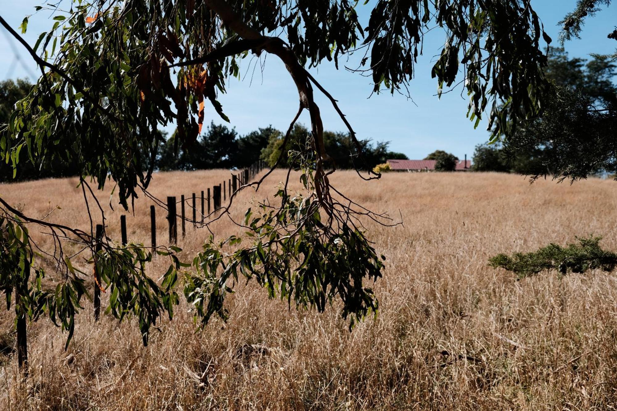 A Cabin With A Big View, Comfort And Tranquility, Close To Vines Martinborough Bagian luar foto