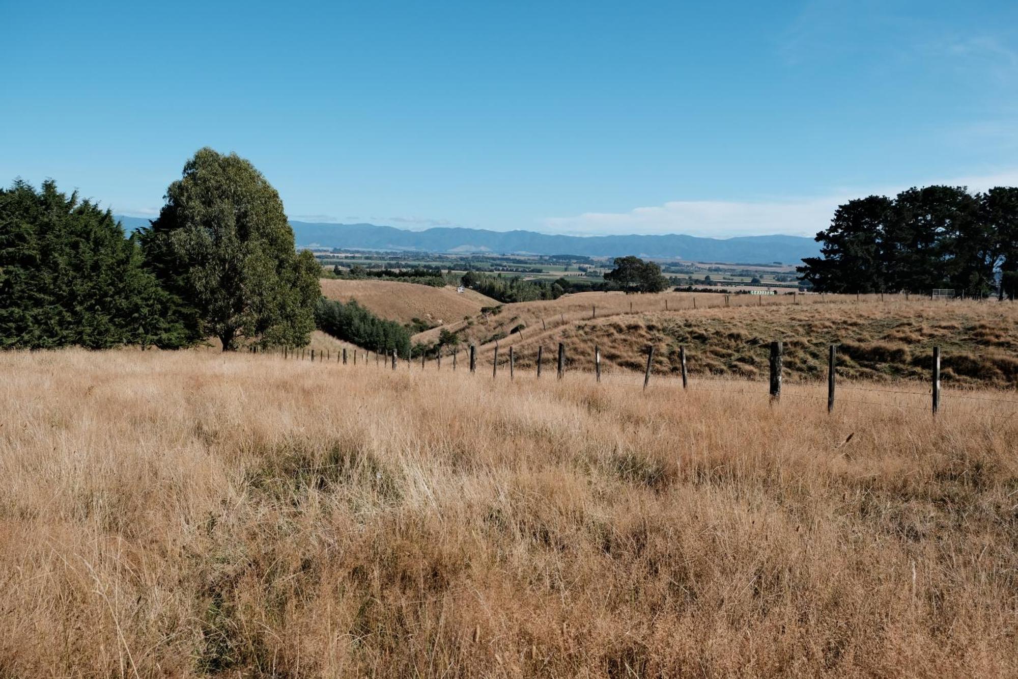 A Cabin With A Big View, Comfort And Tranquility, Close To Vines Martinborough Bagian luar foto