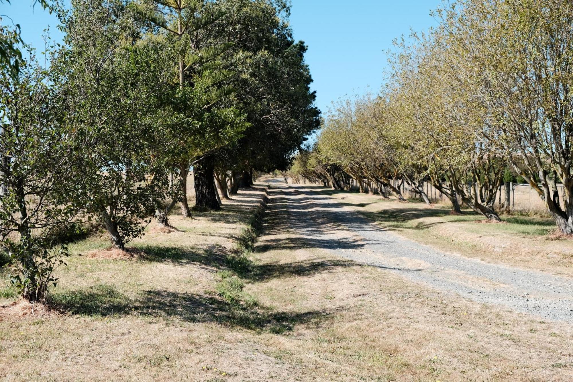 A Cabin With A Big View, Comfort And Tranquility, Close To Vines Martinborough Bagian luar foto